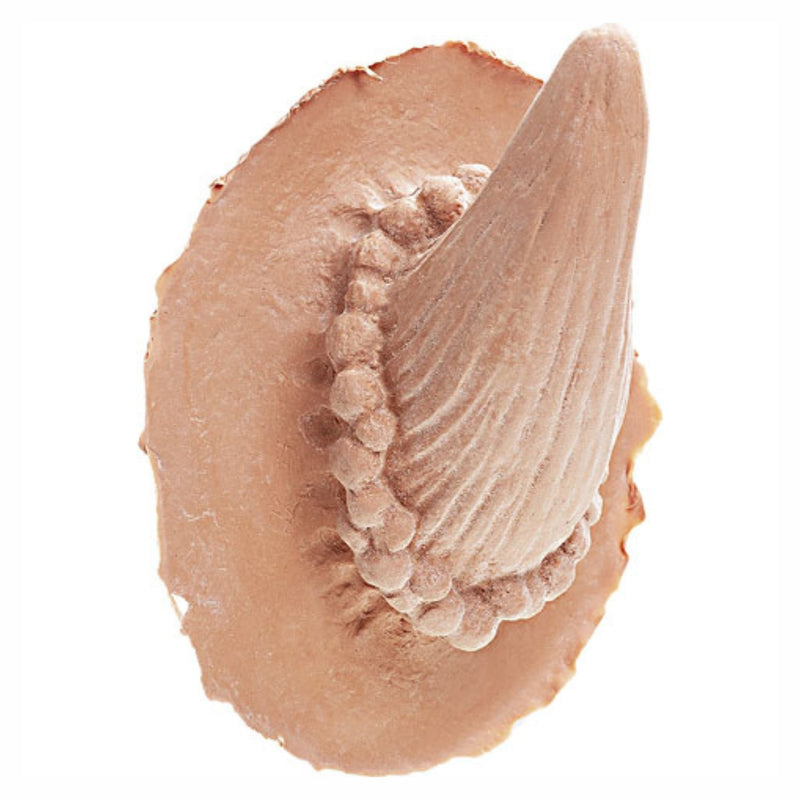 Kryolan Professional Make-up Latex Horns Devil