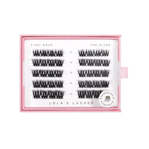Bold Definition Pre Glued Lashes
