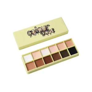 Colour Case Cosmetic Paint Palette & Brush Set The Essentials