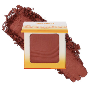 Evocative Silk Blush Risky Raisin