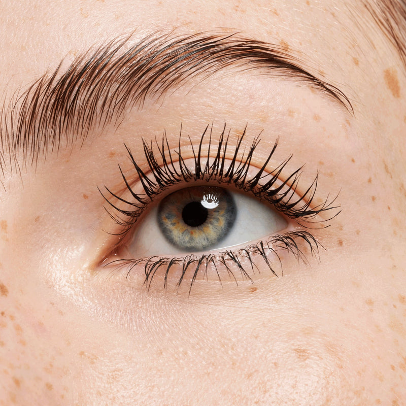 Catrice the Glam Perspective Nude Eye Set 4