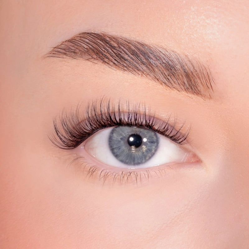 Lola's Lashes Subtle Volume Pre Glued Lashes Set
