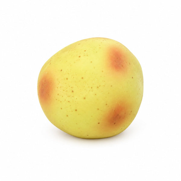 Squishy Potato Vaseline Squishy 1