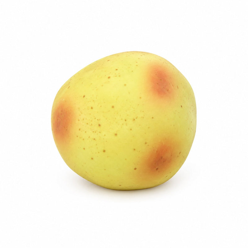 Squishy Potato Vaseline Squishy 1